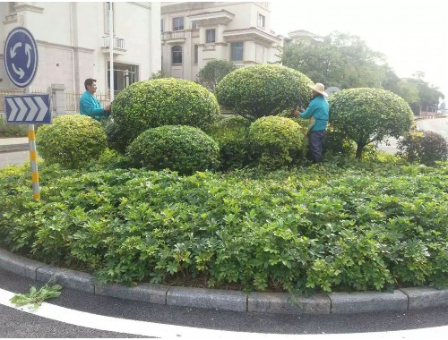 现代绿化工程技术规范