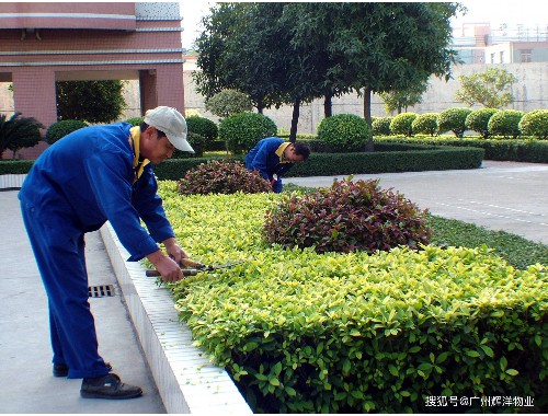 市政道路景观绿化工程合同